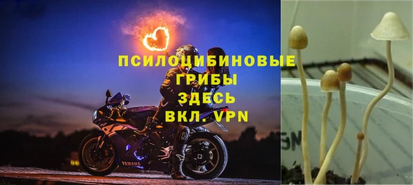 наркотики Богородск