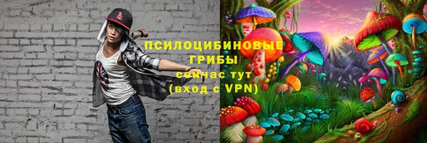 наркотики Богородск
