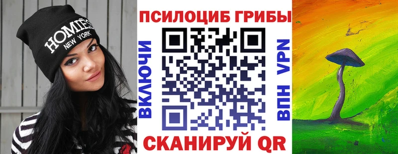 закладка  Макаров  Псилоцибиновые грибы ЛСД 